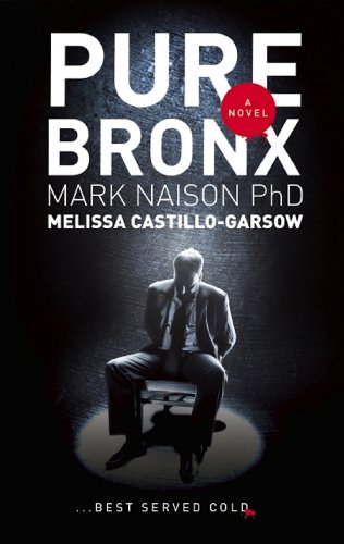 Pure Bronx view 2
