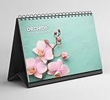 Boyce Publishing Ltd