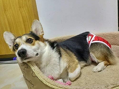 Philodogs Dog Diapers Washable Wraps Reusable Doggie Belly Bands Absorbent Pet Puppy Diapers 3Pcs for Female Doggies
