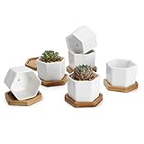 Greenaholics Small Succulent Plant Pots - 2.76 Inch White Ceramic Planter Indoor Mini Flowers Containers for Succulents or Cactus with Drainage and Bamboo Tray - Set of 6
