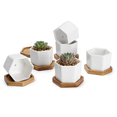 Greenaholics Small Succulent Plant Pots - 2.76 Inch White Ceramic Planter Indoor Mini Flowers Containers for Succulents or Cactus with Drainage and Bamboo Tray - Set of 6