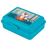 Baagl Brotdose Kinder mit Fächern - Lunchbox mit Trennwand für Schule und Kindergarten - Jausenbox mit Unterteilung für Mädchen (Foxie)