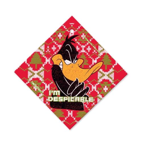 Looney Tunes Daffy Duck Glass Art