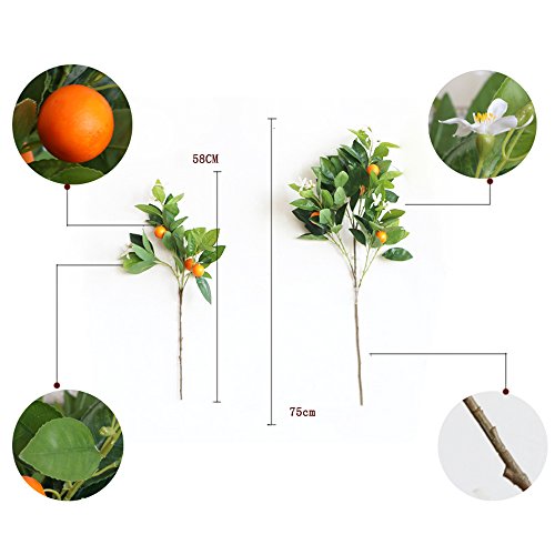 Miguor Artificial Fruits Decoration Office Decor Fake Plants Table Decor Nearly Real Plastic Fruit Branch For Desk Decoration Ornaments (Big Cumquat) #TOP1