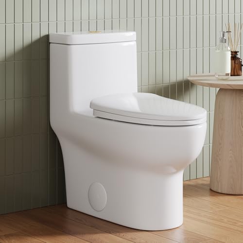 Image of DeerValley Elongated One Piece Toilet, Dual Flush 1.1 /1.6 GPF Toilets with Standard Height Powerful and Quiet 12 inch Rough-In Toilet for Bathroom DV-1F026-G