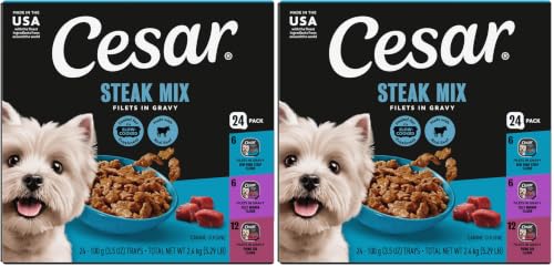Image of Cesar Filets in Gravy Wet Dog Food, Steak Mix Variety, 24 count, 2 pack