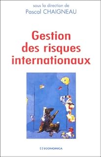 Gestion Des Risques Internationaux