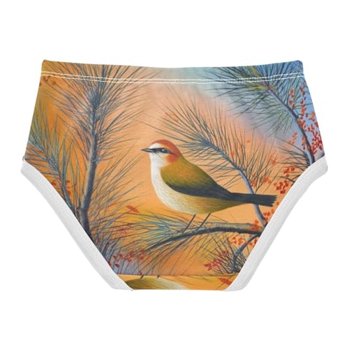 Bird Pine Branch Orange Little Girl Panties Girls Underwear Toddler Cotton Durable Undies Kids Briefs 2t2
