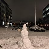 Portrait without a face