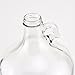 Brewcraft 1 gal Jugs, Clear, 38 mm Screw Top (Pack of 4)