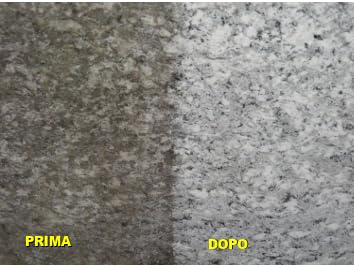 PK 709 TF Disincrostante Professionale per Granito, Beola, Serizzo, Mattoni e Cotto, 1 Litro Made in ITALY