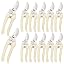 12 Pcs-White
