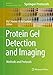 Produktbild Protein Gel Detection and Imaging: Methods and Protocols (Methods in Molecular Biology, 1853, Band 1853)