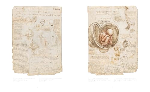 Leonardo da Vinci Atlas Anatomicus idée cadeau originale art - 7