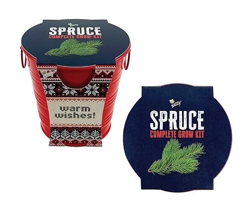 Buzzy Seeds Spruce Tree Grow Kit - Metal Windowsill Planter - Complete Indoor/Outdoor Gardening Kit with Seeds Coconut Husk Growing Medium & Genuine Pots - 100% Grow Guarantee