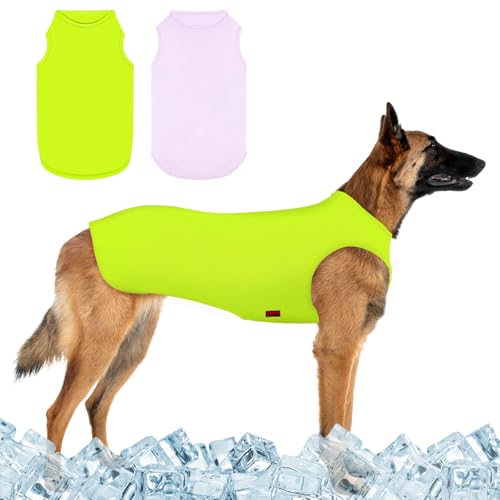 Kickred 2 Pack Hund Kühlung Shirts, EIS Haustier Weste Hund Kleidung für Instant Kühlung, ultraleichte atmungsaktive ärmellose T-Shirts für mittlere Hunde Junge Mädchen (Violett+Grün, XL)