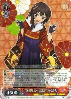 41dHFfqFG2L._AC_UF350,