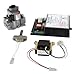 Complete Conversion Kit from Cycle Pilot System to Gold Control HSI (Natural Gas)