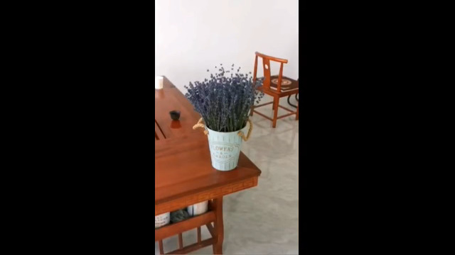 TooGet Lavender Dried Ultra Blue Bundles 200+ Stems (16" - 18" Long) for Home Decor, Crafts, Gift,Wedding or Any Occasion