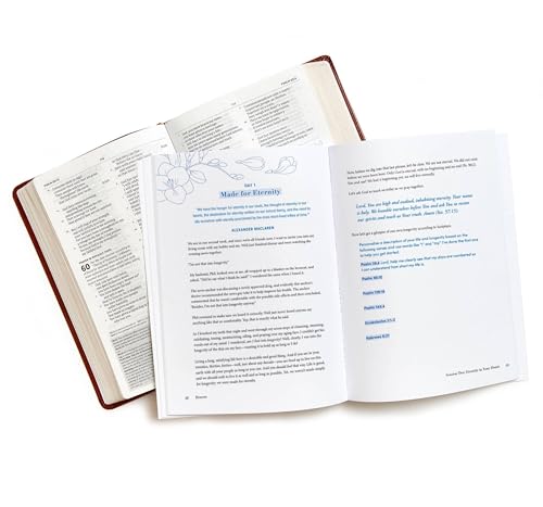 Image of Heaven - Bible Study for Women with Video Access: When Faith Becomes Sight