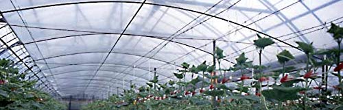 ݂ǉH(Mikado Kakou) _ƗpgltB ݂ǒ 0.07×230×100m