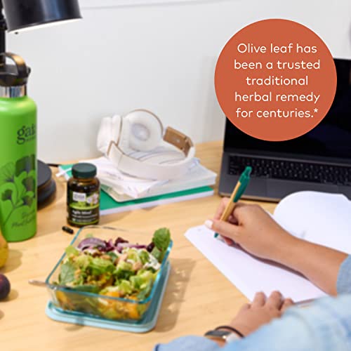 Gaia Herbs Olive Leaf - Traditional Immune Health Support - Immune System Supplement With Olive Leaf Extract And Oleuropein - 60 Vegan Liquid Phyto-Caps #TOP4