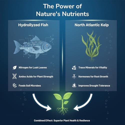 GS Plant Foods Liquid Fish & Kelp Fertilizer (1 Gallon) – Organic Material Review Institute Listed Natural Plant Food for Home Gardens, Lawns, and Vegetables