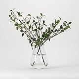 D&W Silks Faux Greenery Branches in Vase - Silk Leafy Decor for Home & Office
