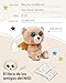 NICI peluche GLUBSCHIS oso Glowy Bombo 15cm marrón Imagen de NICI peluche GLUBSCHIS oso Glowy Bombo 15cm marrón