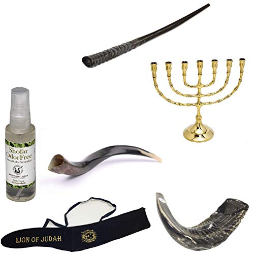 Chophar avec corne de koudou oryx et menorah classique pour rituel juif