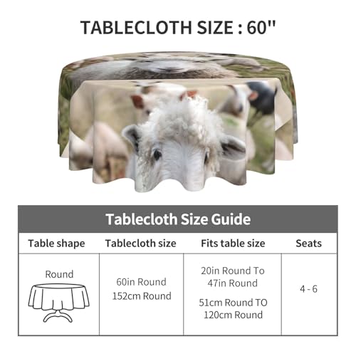 Nappe ronde agneau en polyester durable de qualité supérieure pour table - 3