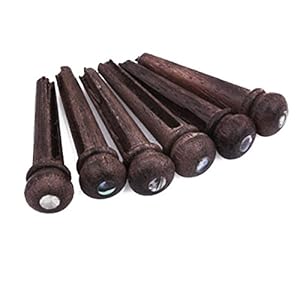 Rosenice palissander gitaar brug pinnen houten gitaar pin end pin ingesteld 6-pack brandverandering to: Rosenice