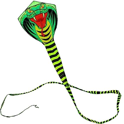 JCg 傫 }owr ւ̑ sCtĂ O ỹ݂X|[c g܂