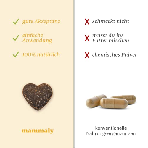 14-in-1 Immunsystem Leckerli für Hunde - Immu Push 30 Snacks (110g) von mammaly - Stärkt Abwehrkräfte mit Hagebutte, Granatapfel, Ashwagandha, Bierhefe, Zink - Reich an Antioxidantien, Vitamin A, C, K