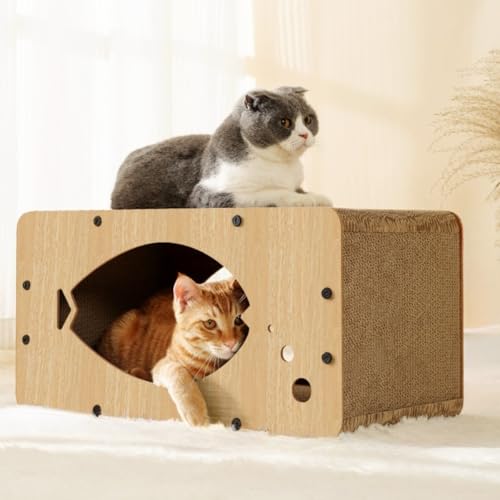 Conutoo i{[LbgnEX EWxbh LbX C^NeBu ܌ XNb`[{[h LeBRh~jA LeBLp (outBbV i`)