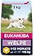 Eukanuba Welpenfutter mit frischem Huhn für kleine Rassen, Premium Trockenfutter für Junior Hunde, 3 kg