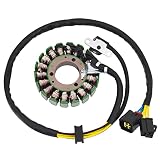 Road Passion Motorrad Magneto Statorspule 32101-14D10-000 Kompatibel mit SUZUKI DR250 250XC 1994-2007 / Djebel 250  ...