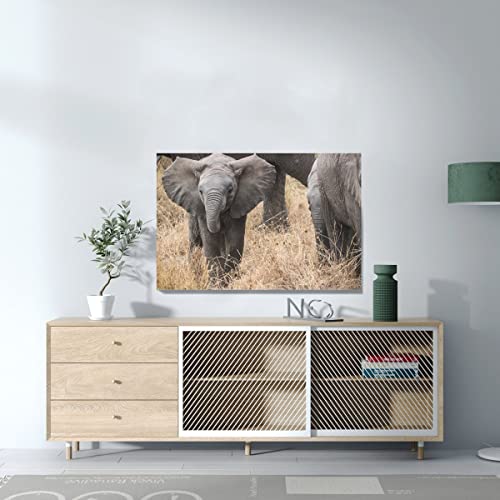 Affiche bébé éléphant tableau savane pour chambre bébé - 3