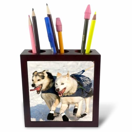 3dRose ph_84025_1 Dogs, Iditarod Start, Alaska-Na02 Dno0654-David Northcott-Tile Pen Holder, 5-Inch