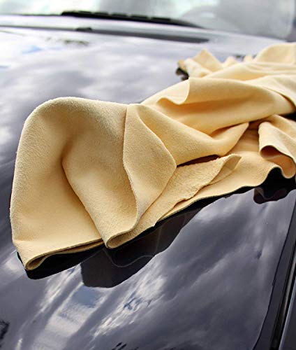 Förster-Fellnest - Tapete (55-5570)