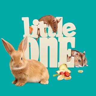 Little One Sugar Gliders Pellets | 450 g | Alimento completo per petauro dello zucchero | Con miele e frutta