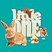 Little One Alleinfutter für Chinchillas | 900 g | Speziell für die Ernährungsanforderungen von Chinchillas | Zur Deckung des Nährstoffbedarfs | Mit wichtigen Eiweißen & Vitaminen