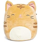 Squishmallows Golden Brown Tabby Kitty Cat Plush 9.5