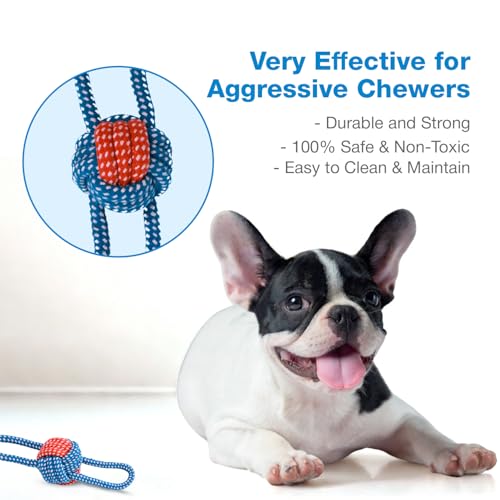 Image of Cotton Rope for Dogs and Pets |Knotted Woven Pet Dog Toy Eco-Friendly Cotton Rope Toys Medium /Small Dogs Toy |Chewing and Playing Teeth Cleaning and Training for Dogs and Puppies (Blue)