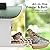 ChirpingPal™ AI Smart Bird Feeder with Camera | 2.5K HD Live View & Photos | Night Vision | 10,000+ Species ID | Solar-Powered with Built-in Battery | with Bird Bath Kit | Green & White
