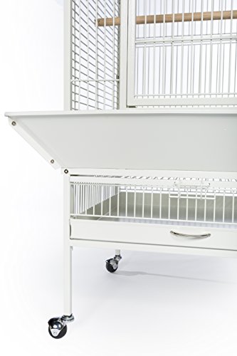 Image of Prevue Pet Products Large Dome Top Bird Cage - Medium Steel Cage with Casters, Dual Locks, Seed Guards, and Perches, Ideal for Cockatiels, Conures, and Similarly Sized Birds - Chalk White