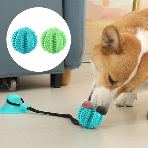 NEERIX Futterball für Kleine Große Hunde,Zahnpflege Hunde Spielsachen,Naturkautschuk Hundespielzeug Intelligenz Ball,Interaktiver Leckerli Spender,Zahnreinigung, IQ Training(5 cm, Blau,Grün)