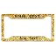 Flash Gold Frames
