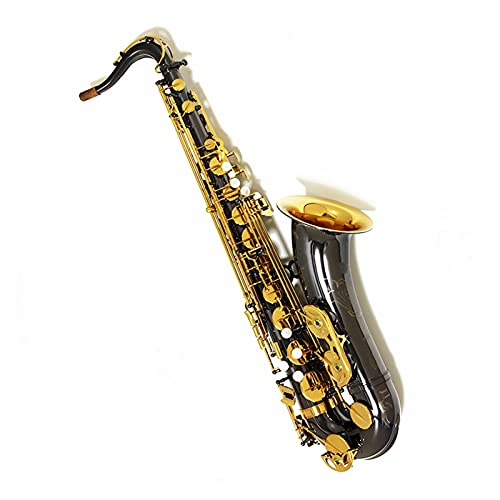 TbNX rMi[YLbg ei[TbNX B tbg ^J jbPbL y TbNX P[Xt }EXs[X Ǌy(J[: SX90R ubN S[h)