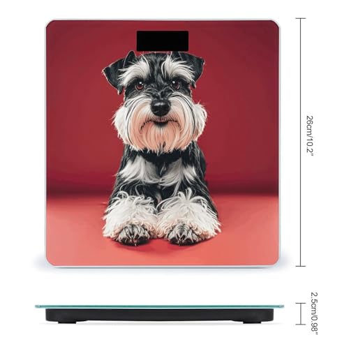 Báscula digital para baño de vidrio templado Schnauzer miniatura 2